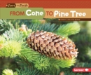 From Cone to Pine Tree - eBook