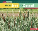 From Seed to Cattail - eBook