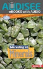 Marveling at Minerals - eBook