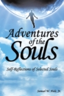Adventures of the Souls : Self-Reflections of Selected Souls - eBook