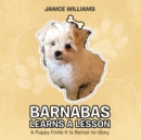 Barnabas Learns a Lesson : A Puppy Finds It Is Better to Obey - eBook