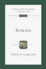Romans : An Introduction and Commentary - eBook