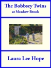 The Bobbsey Twins at Meadow Brook - eBook