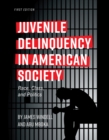 Juvenile Delinquency in American Society : Race, Class, and Politics - Book
