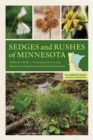 Sedges and Rushes of Minnesota : The Complete Guide to Species Identification - Book