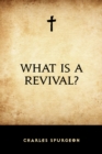 What is a Revival? - eBook