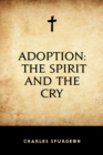 Adoption: The Spirit and the Cry - eBook