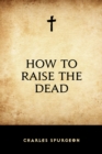 How to Raise the Dead - eBook