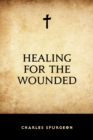 Healing for the Wounded - eBook
