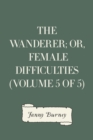 The Wanderer; or, Female Difficulties (Volume 5 of 5) - eBook