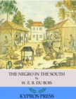 The Negro in the South - eBook