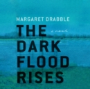 The Dark Flood Rises - eAudiobook