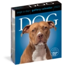 Dog Page-A-Day Gallery Calendar 2023 : An Elegant Canine Celebration - Book