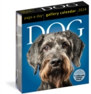 Dog Page-A-Day Gallery Calendar 2024 : An Elegant Canine Celebration - Book