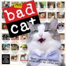 Bad Cat Wall Calendar 2025 : Celebrating the Misfits of the Feline World - Book