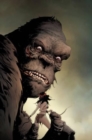 Kong: The Great War - Book