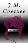 Disgrace - eBook