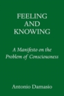 Feeling and Knowing : Making Minds Conscious - Book