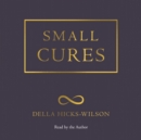 Small Cures - eAudiobook