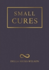 Small Cures - eBook