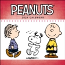 Peanuts 2024 Wall Calendar - Book