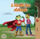 A bheith ina sarlaoch - eBook