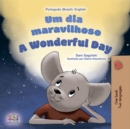 Um dia maravilhoso A Wonderful Day - eBook