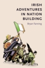 Irish adventures in nation-building - eBook