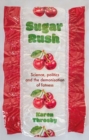 Sugar rush : Science, politics and the demonisation of fatness - eBook