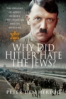 Why Did Hitler Hate the Jews? : The Origins of Adolf Hitler's Anti-Semitism and its Outcome - eBook