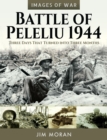 Battle of Peleliu, 1944 : Three Days That Turned into Three Months - eBook
