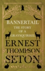 Bannertail - The Story of a Gray Squirrel - eBook