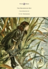 The Brushwood Boy - Illustrated by F. H. Townsend - eBook