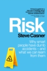Risk : Why Smart People Have Dumb Accidents - And What We Can Learn From Them - eBook