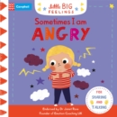 Sometimes I Am Angry - Book