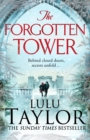 The Forgotten Tower : Long buried secrets, a dangerous stranger and a house divided... - eBook