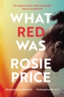 What Red Was : ‘One of the most powerful debuts you’ll ever read’ (Stylist) - Book