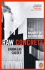 Raw Concrete : The Beauty of Brutalism - Book