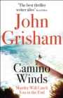 Camino Winds : The Ultimate Summer Murder Mystery from the Greatest Thriller Writer Alive - Book