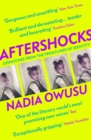 Aftershocks : Dispatches from the Frontlines of Identity - eBook