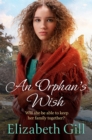 An Orphan's Wish - Book