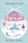 Winter Wonderland - eBook