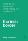 What Do We Know and What Should We Do About the Irish Border? - Book