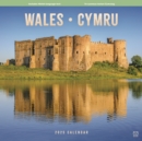 Wales Square Wall Calendar 2025 - Book