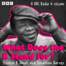 What Does the K Stand For? : A BBC Radio 4 Sitcom About Growing up Black, Gay and Funny in 1980s London - eAudiobook