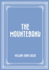 The Mountebank - eBook