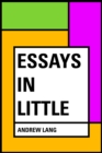 Essays in Little - eBook