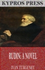 Rudin: A Novel - eBook