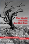 The World and God Are Not-Two : A Hindu-Christian Conversation - Book