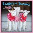 LAMBIES IN JAMMIES GOATS IN COATS 2021 C - Book